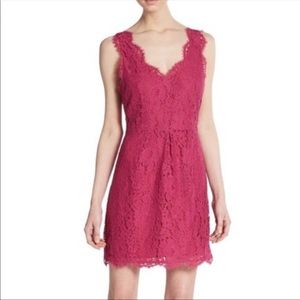 Joie Rori Scalloped Lace Dress L NWT